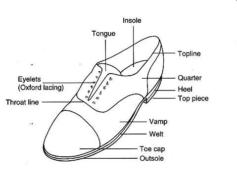 A diagram of an Oxford shoe.